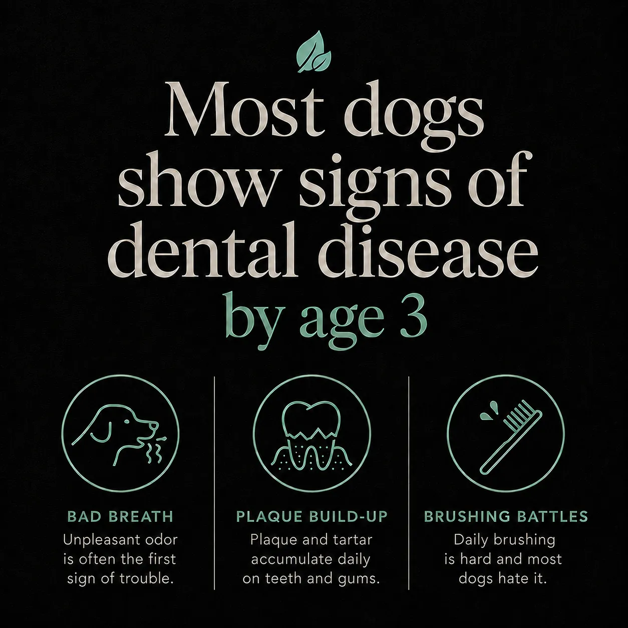 Most dogs show signs of dental disease by age 3: bad breath, plaque build-up, brushing battles